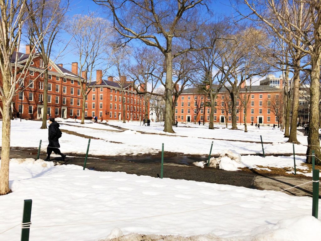 How To Visit Harvard: Taking A Free Tour Of The University | Travel Cami