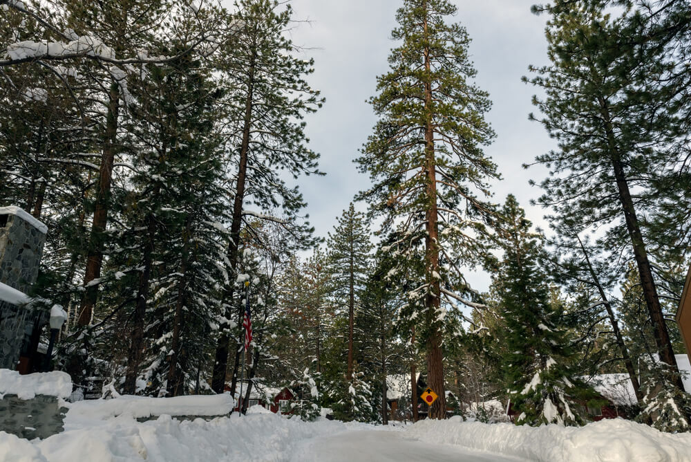 Wrightwood California in winter (1)