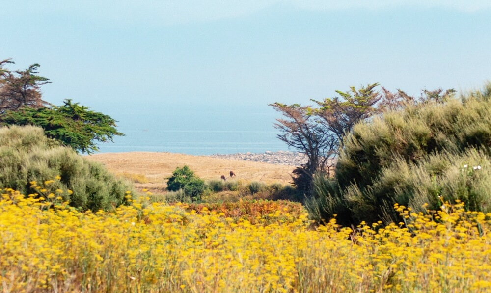 The 15 Prettiest Islands To Visit In France 15 Ăle-de-Batz, France