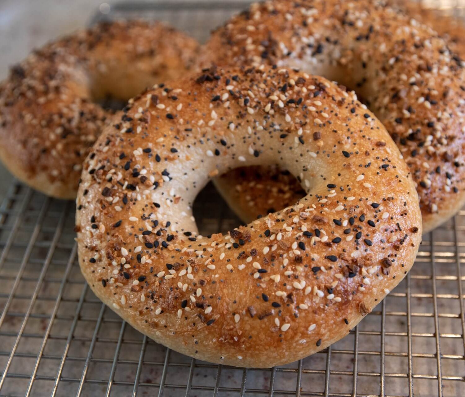 montreal bagel (1)