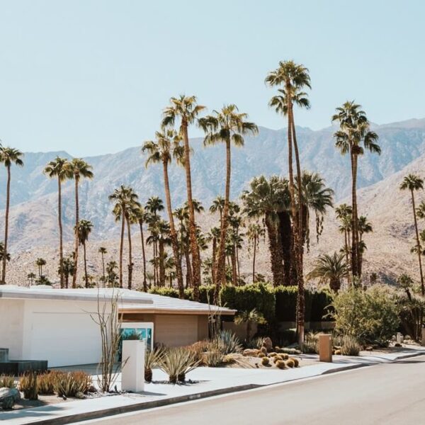 palm springs view