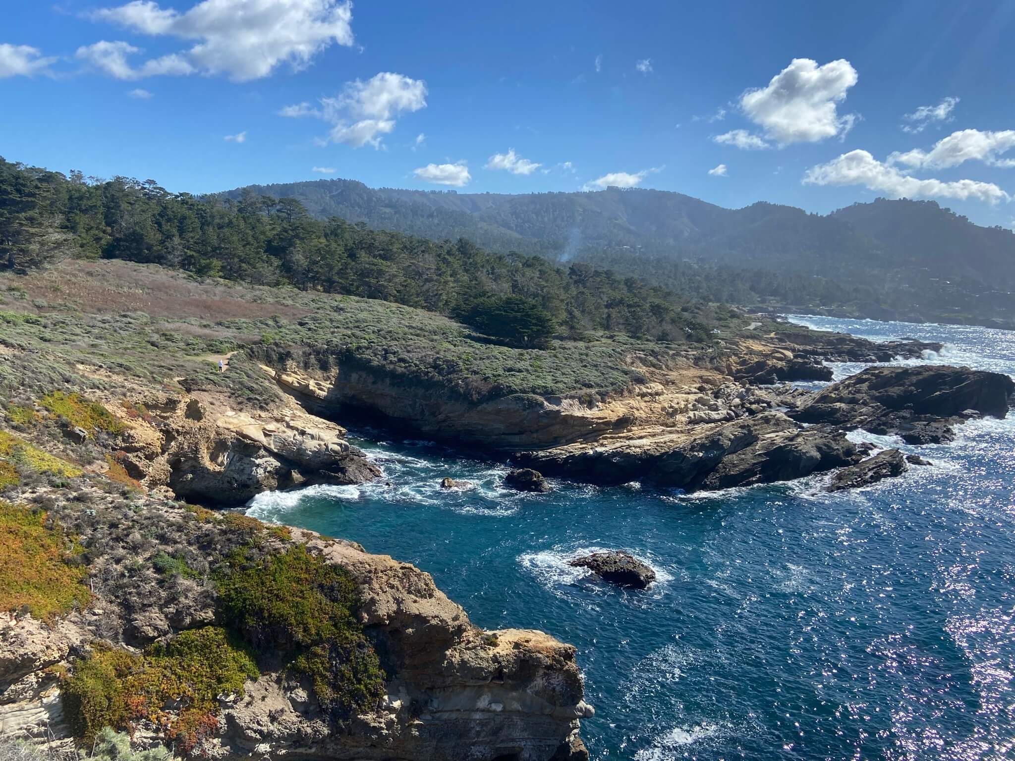 point lobos state natural reserve (12)