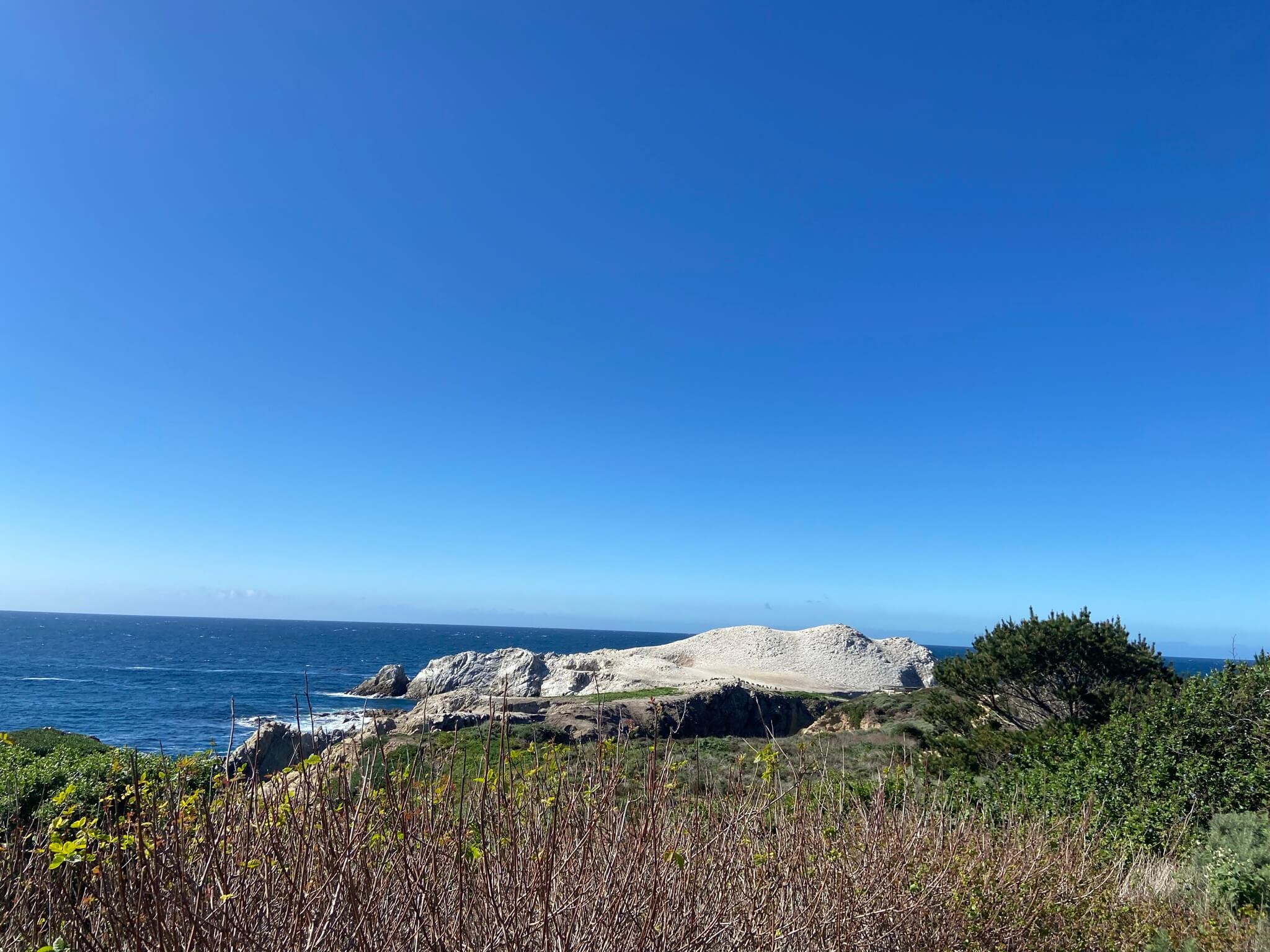 point lobos state natural reserve (14)