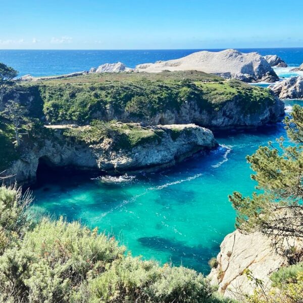 point lobos state natural reserve (6)