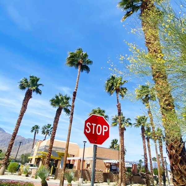 street in palm springs