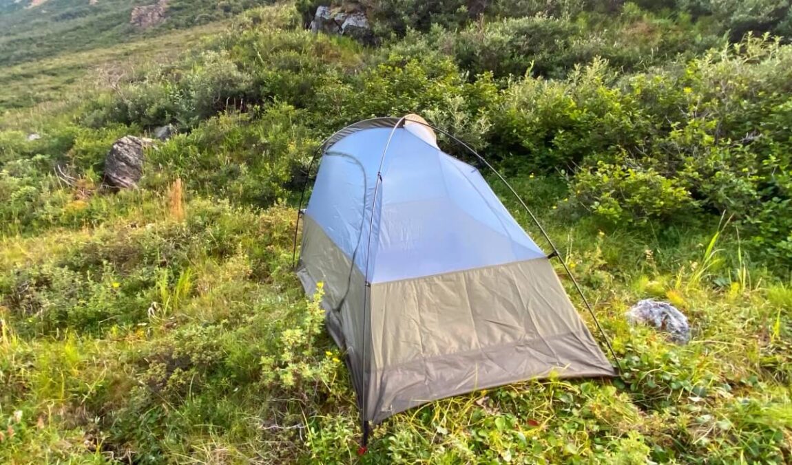 17 Amazing Free Things To Do In Denali National Park Travelcami