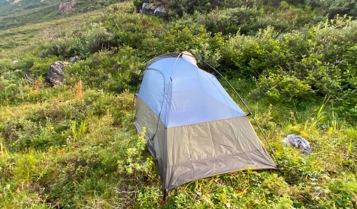 camping in denali national park