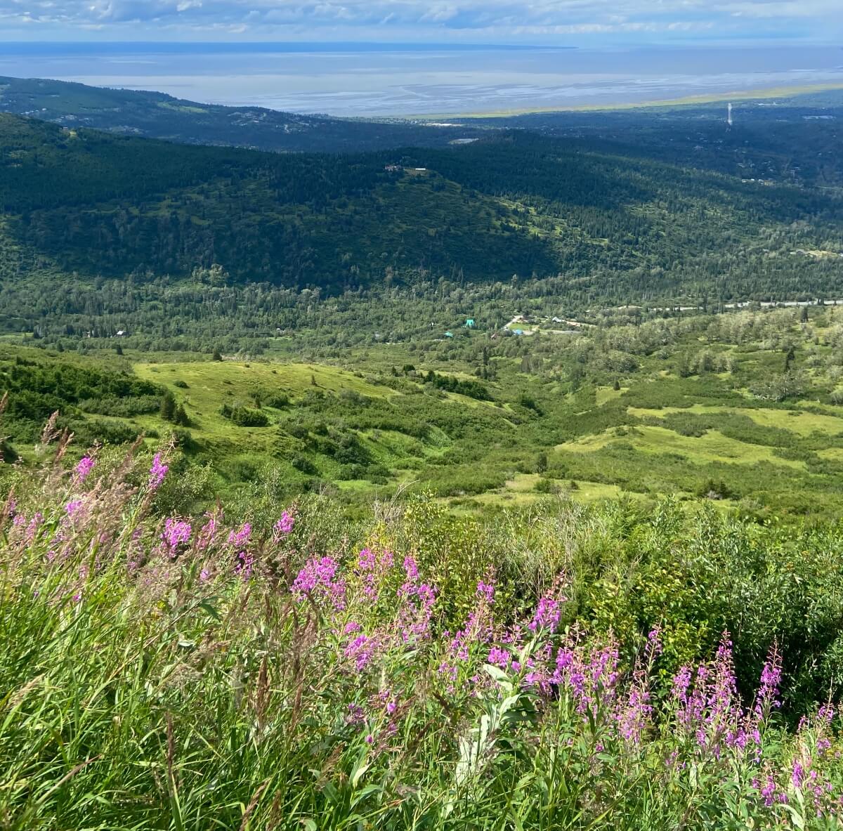 hiking flattop mountain anchorage