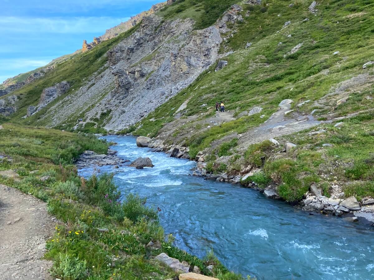 savage river denali alaska (1)