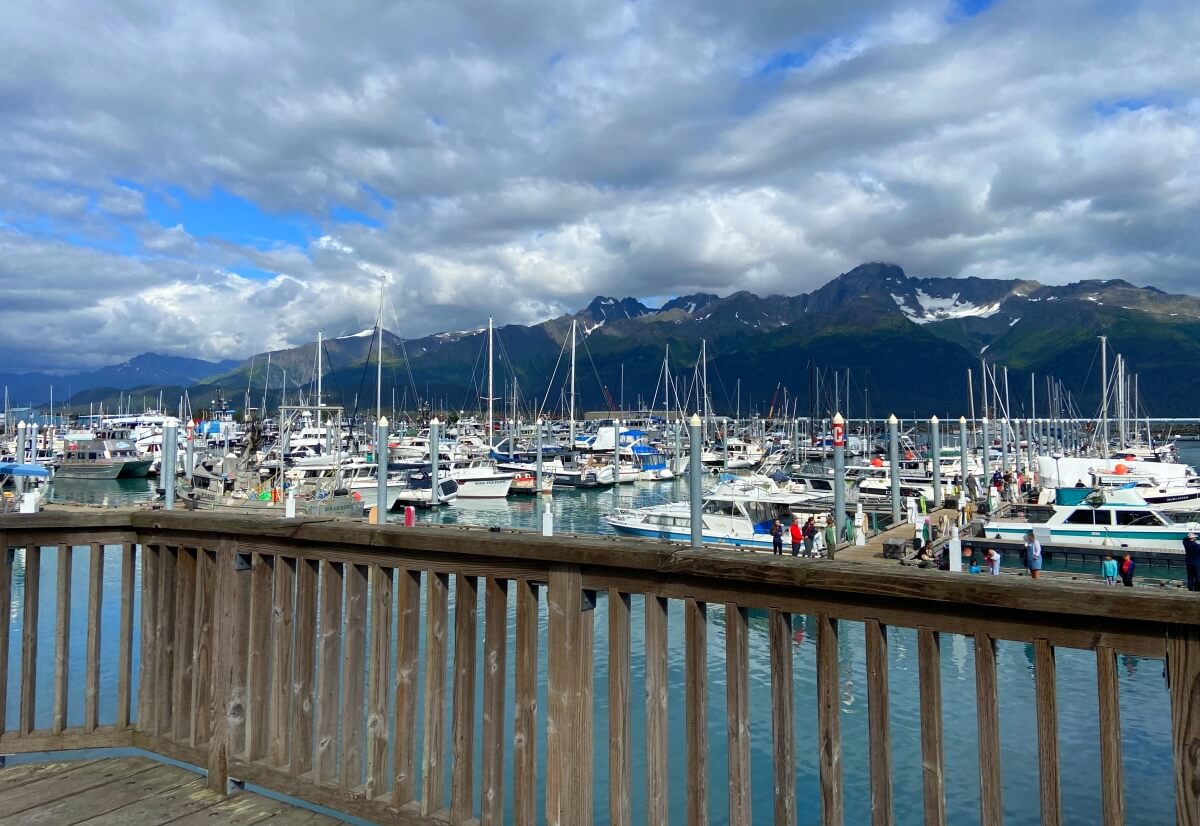 seward alaska marina 1