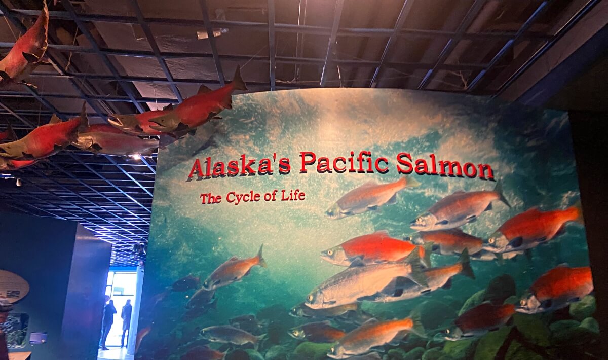 seward sealife center