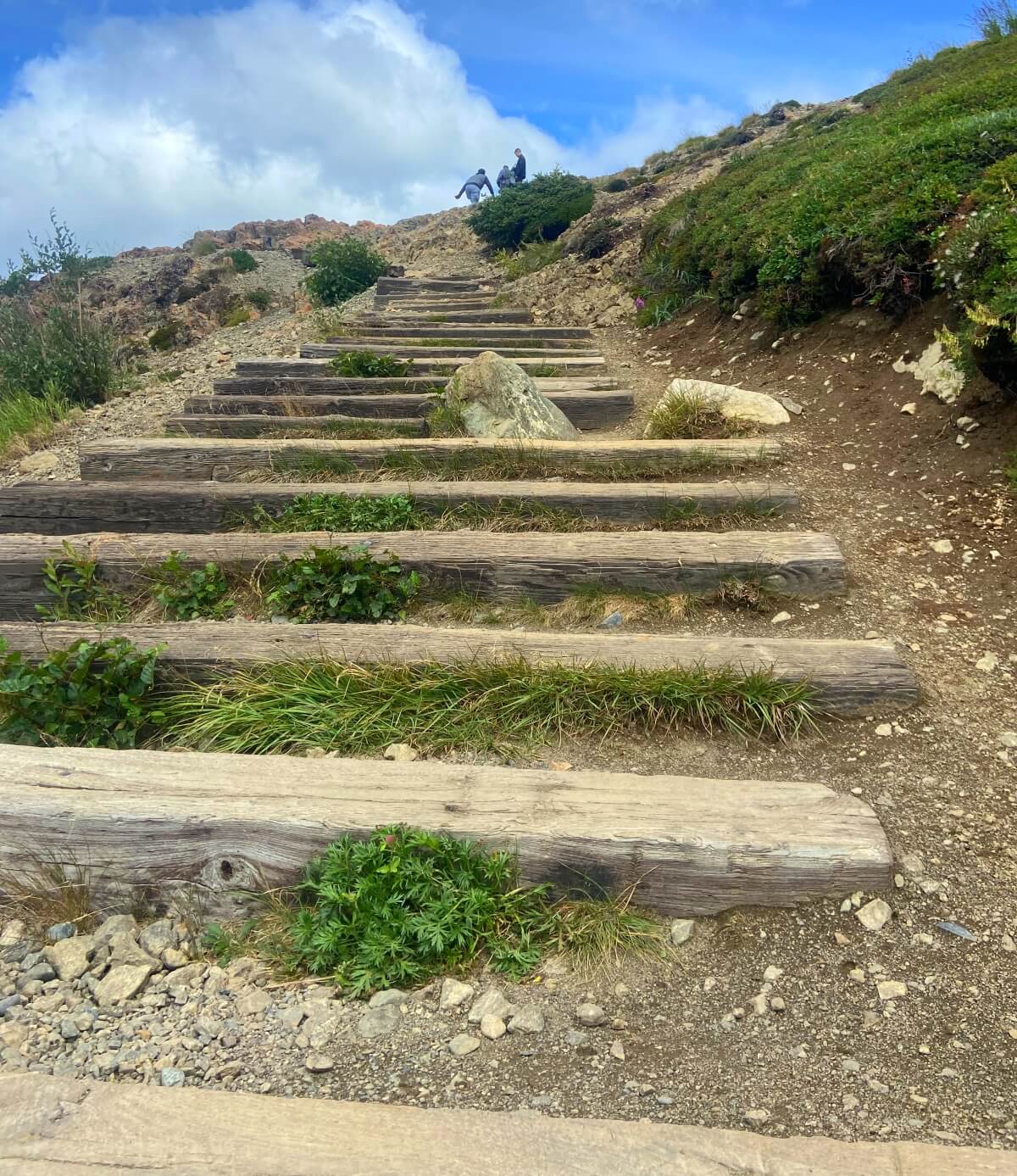 stairs in flattop