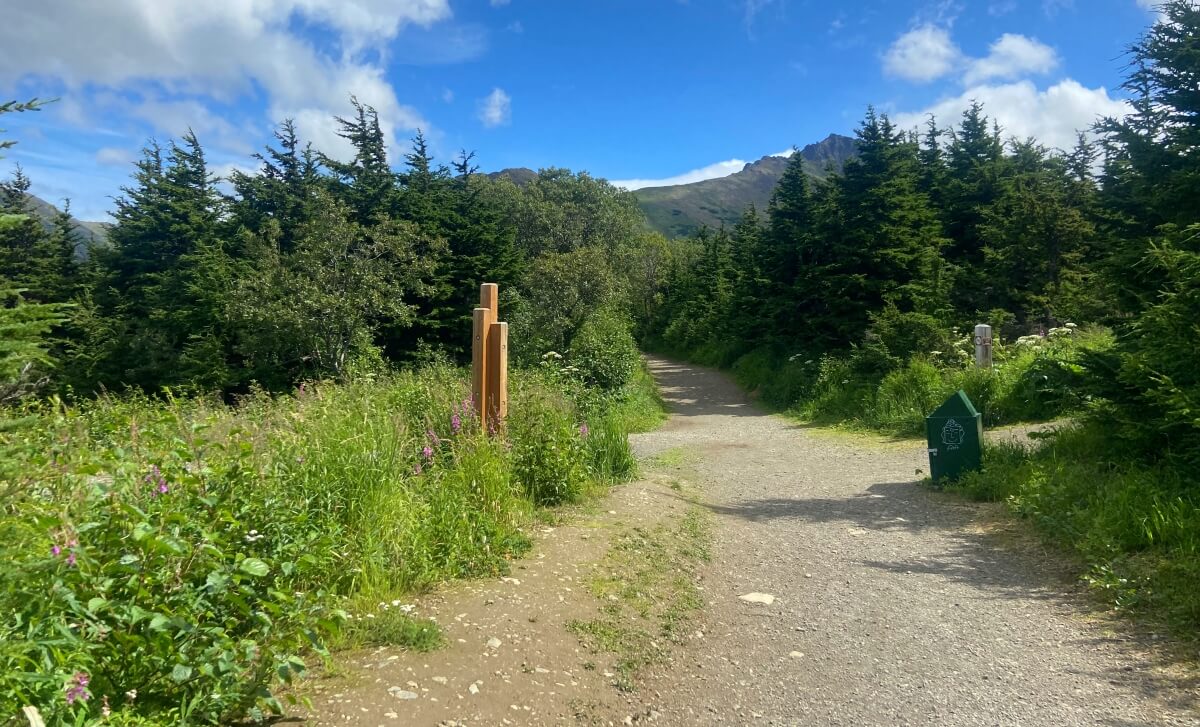 trailhead of flattop mountain