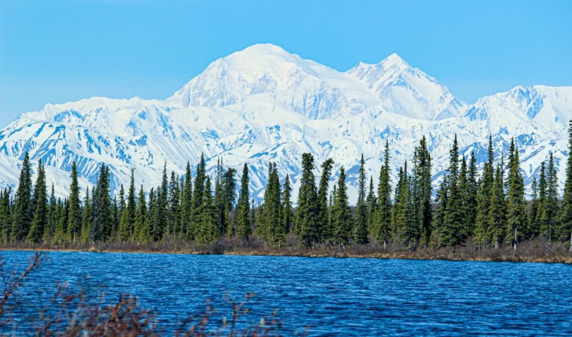view of denali from a lake