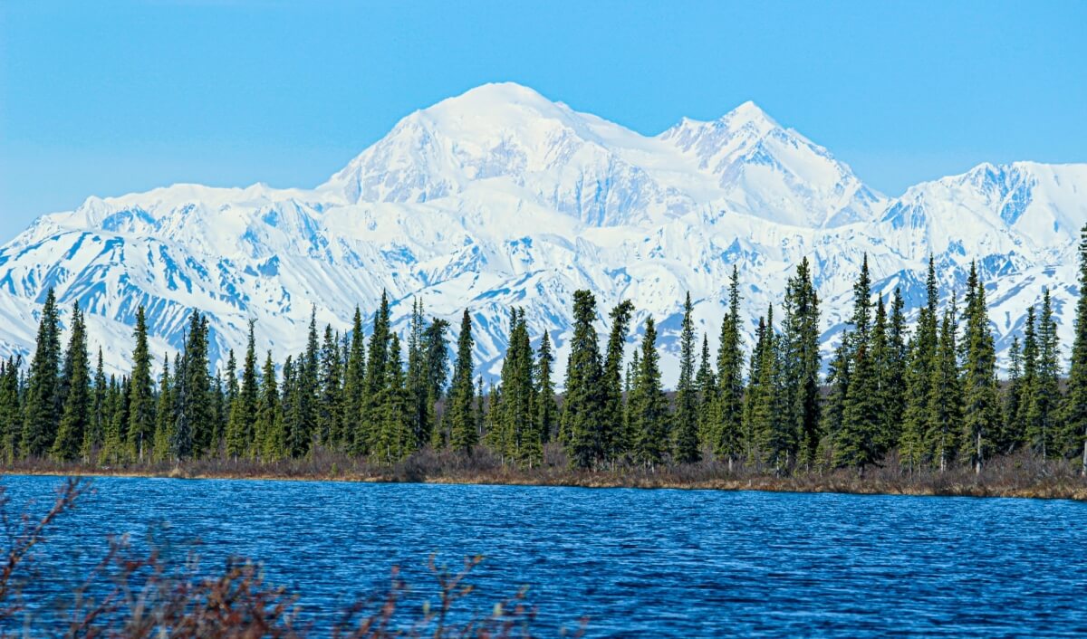 view of denali from a lake