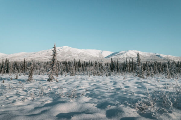 winter in alaska