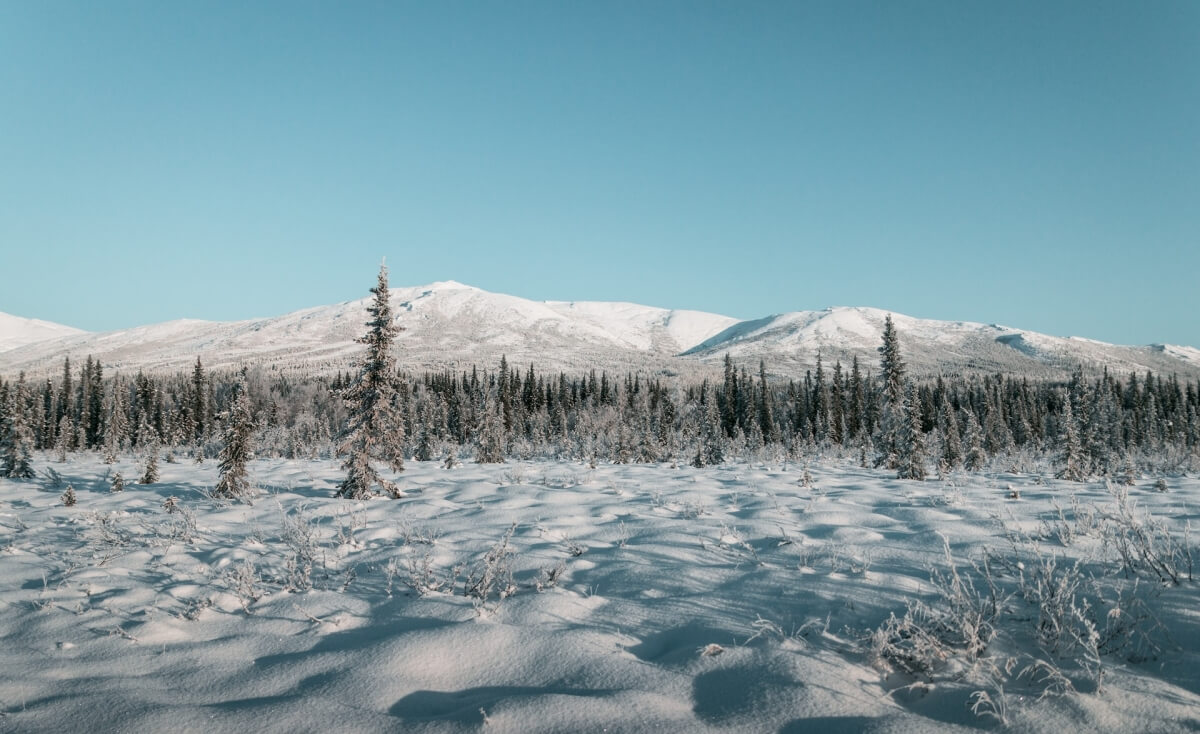 winter in alaska