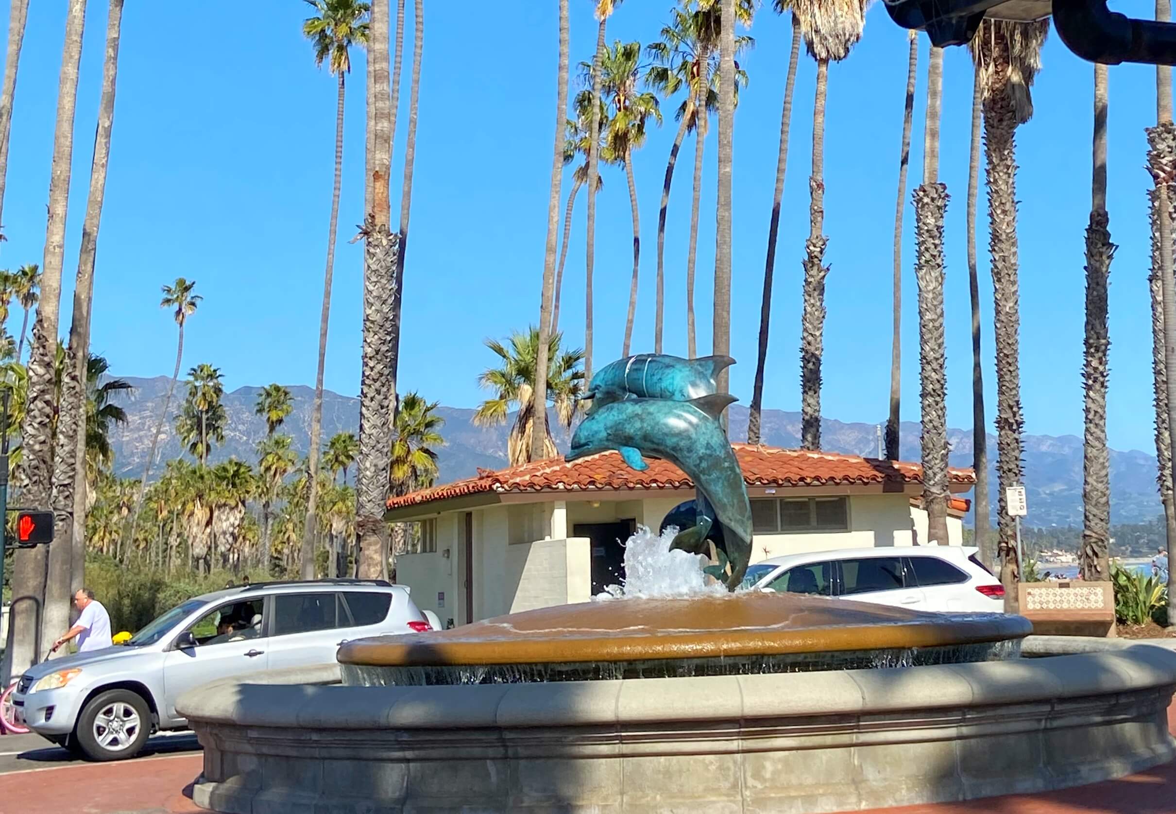 dolphins in santa barbara california