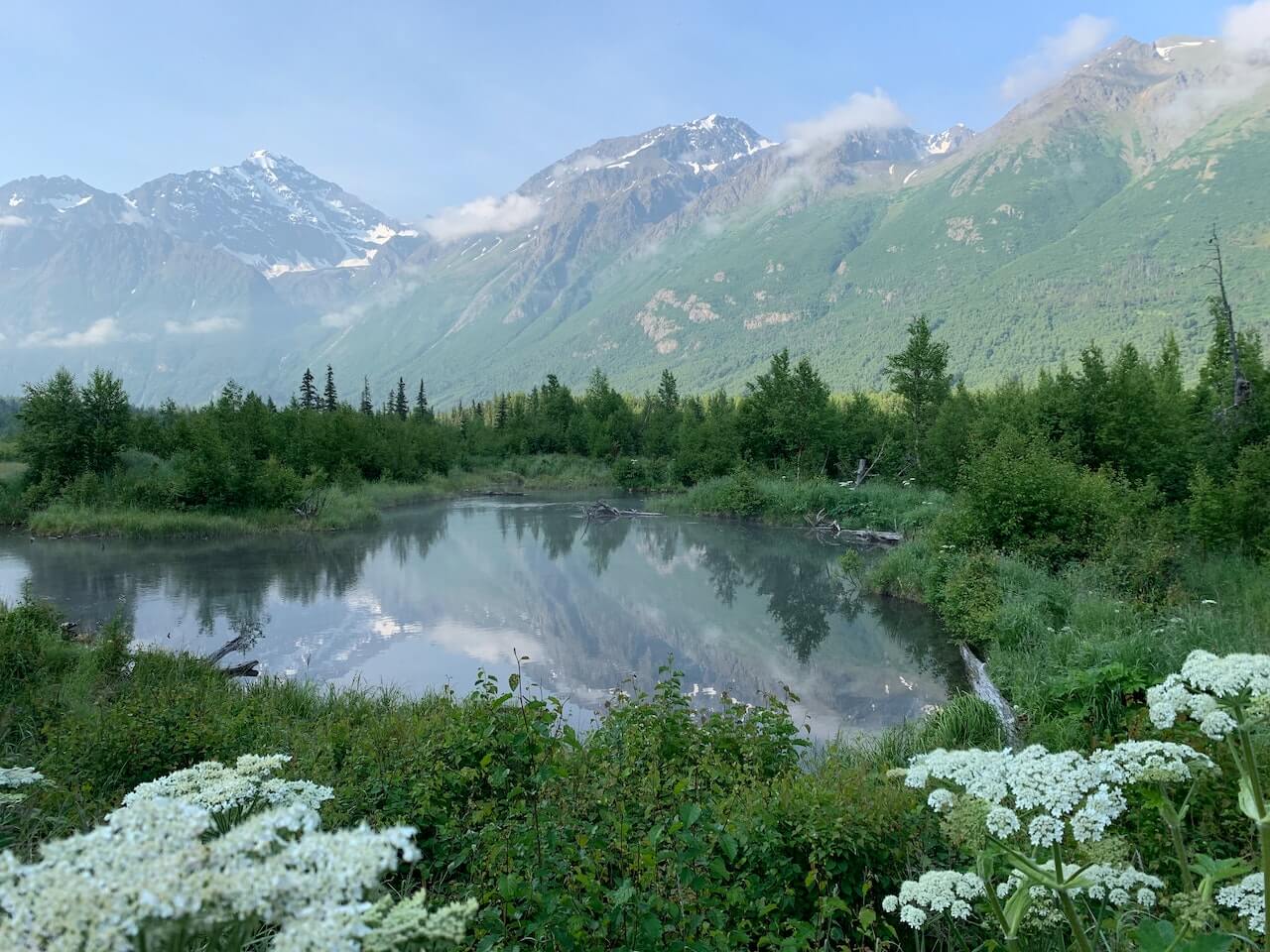 nature in alaska