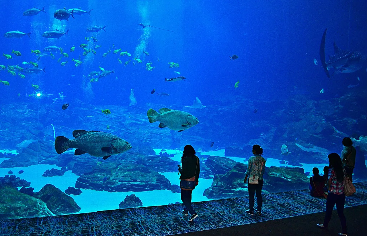 Georgia-Aquarium-Atlanta